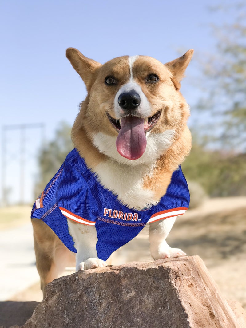 Pets First NCAA College Florida Gators Mesh Jersey for DOGS & CATS, Small.Licensed Dog Jersey with your Favorite Football/Basketball College Team - Image 4